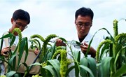寿阳县深化省校合作助推有机旱作农业科技创新