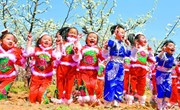 第十二届平遥梨花旅游节如期开幕