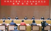 王沪宁参加党的二十大贵州省代表团讨论